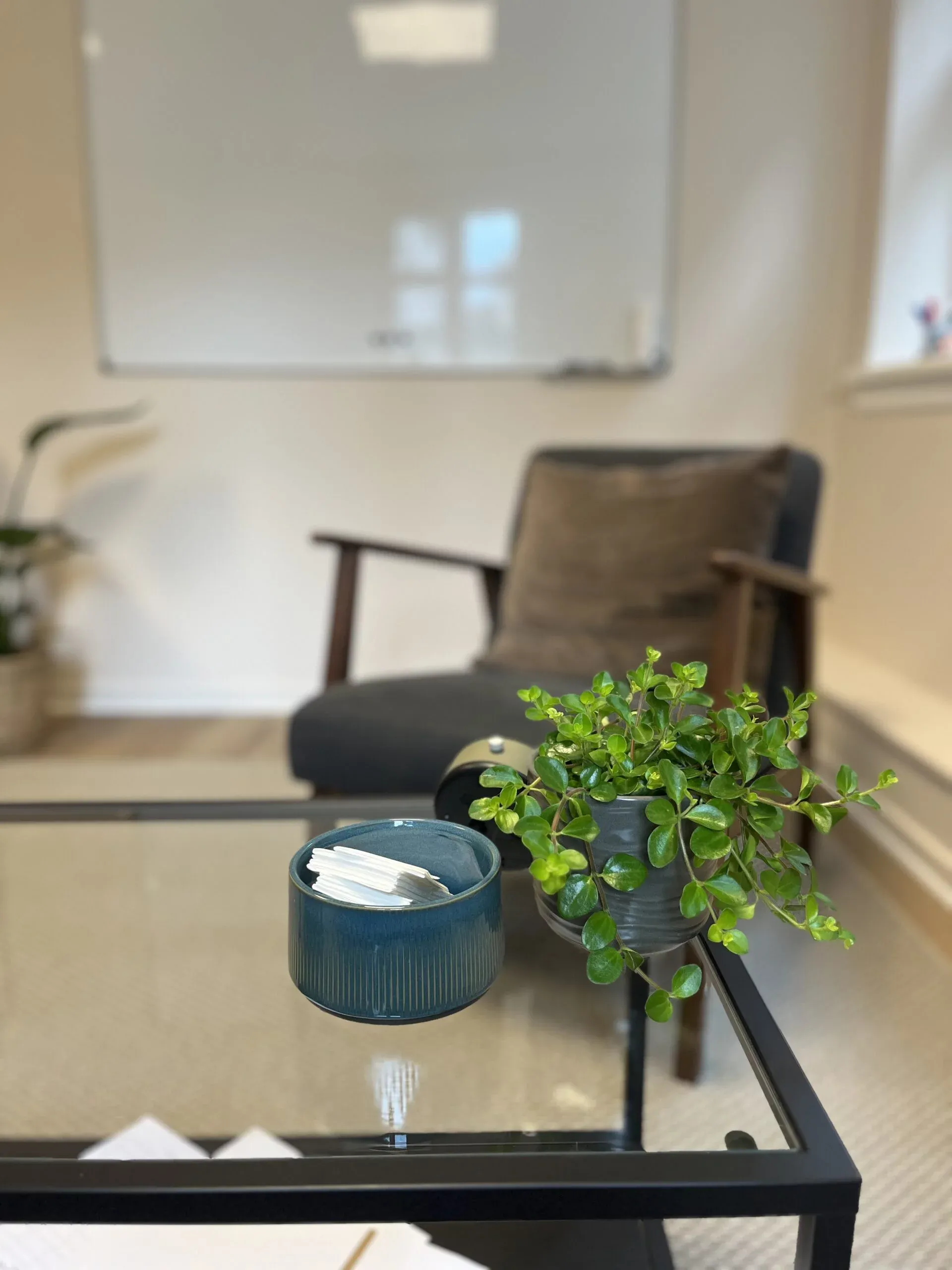 Moderne kontor med plante og kop på glasbord